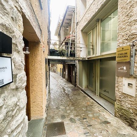 Apartamento Duplex En El Corazon De Camprodon, La Rovira Eksteriør billede
